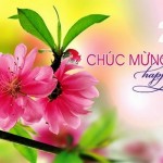 2015 chuc mung nam moi