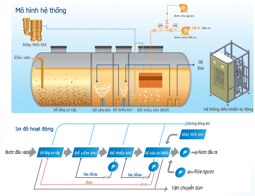 Mô hình hệ thống và sơ đồ hoạt động của hệ thống xử lý nước thải